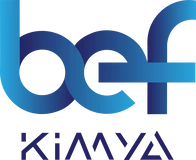 BEF Kimya